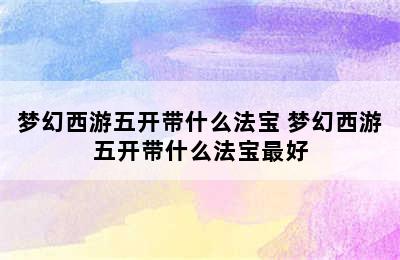 梦幻西游五开带什么法宝 梦幻西游五开带什么法宝最好